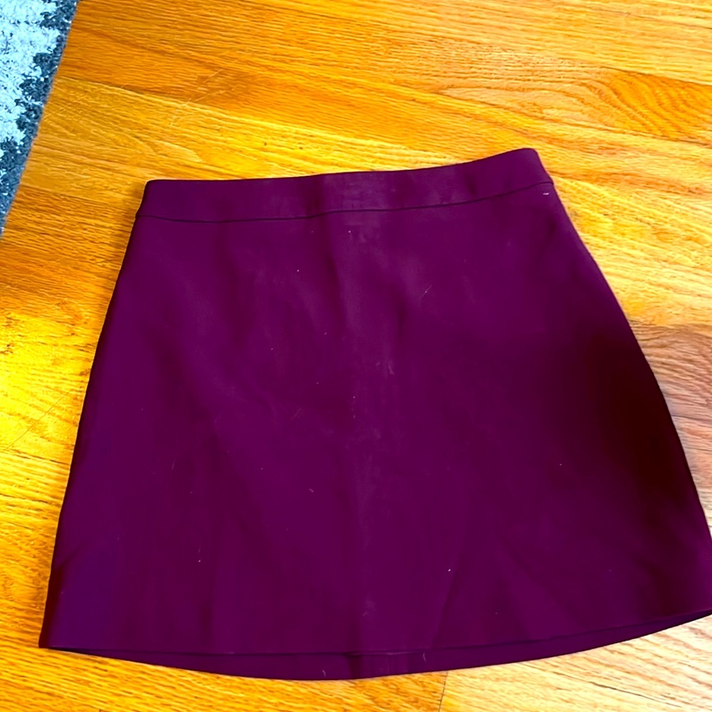 Express Skirt